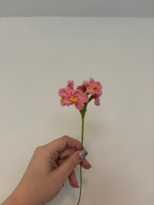 img 2017