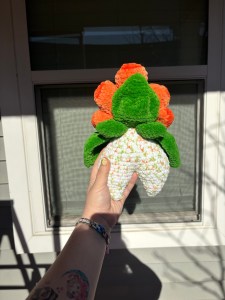 img 7279