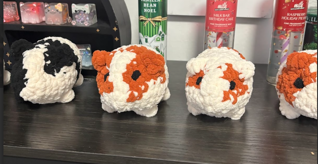 Guinea Pigs